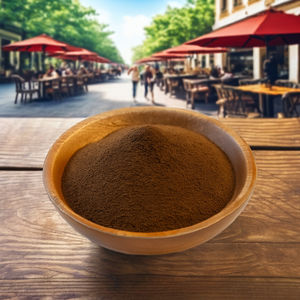 Café instantané pur Robusta séché par pulvérisation, 20 kg, pour fabricants alimentaires, goût spécial, longue durée de conservation, emballage flexible - Product Image 2