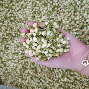 Fournisseur d'usine du Vietnam : Bourgeons de jasmin séchés, ingrédient naturel pour le thé aux fleurs, en vrac - Product Image 1