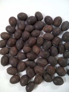 Semillas de Loto Frescas de Primera Calidad, Cosechadas en Vietnam, Venta al por Mayor a Granel, Precios Atractivos, Compradores Internacionales, Toan Tai Loc - Product Image 4