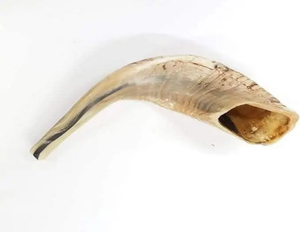 Shofar artisanal personnalisé en corne de bélier, instrument sonore religieux et cérémoniel, finition naturelle, décoratif, objet de collection élégant - Product Image 6