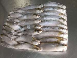 Nuevo Pescado Entero Congelado BQF (Chanos Chanos) para Cebo, Certificado HACCP, Grado A, Mariscos Chinos - Product Image 4