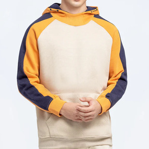 Dernier style, color block, manches raglan, prix de gros, coton lourd, col montant, à capuche, personnalisable, sweats à capuche pour hommes - Product Image 6