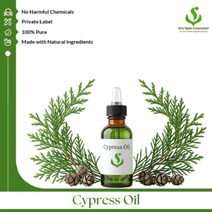 Aceite Esencial de Ciprés Fresco de Grado Cosmético 100% Puro, Exportador que Ofrece Opciones de Empaque a Granel Premium, Servicios OEM/ODM - Product Image 1