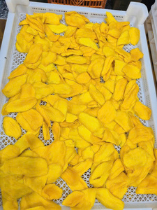 Rodajas de Mango Seco Agridulce, Hechas en Vietnam, 100% Fruta Madura, para Snacks, Mezclas de Frutas, Postres, Venta al por Mayor y Menor, Empaque al Vacío - Product Image 3
