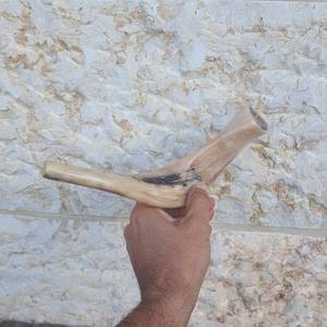 Shofar de cuerno de carnero pulido a mano, de la India, completamente pulido, de 12 a 14 pulgadas, para sonar. - Product Image 6