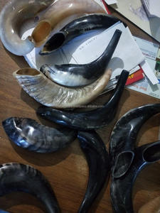 Shofar de Cuerno de Kudú Kosher, Hecho a Mano en India, Pulido, Religioso, de Alta Calidad, Estilo Musical Tradicional, Animal - Product Image 2