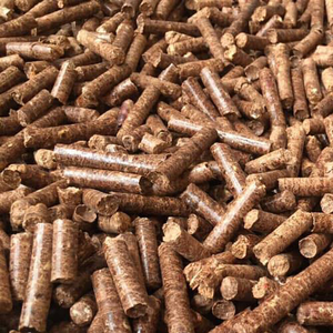 Sciure de bois de qualité supérieure, meilleur prix, substrat organique de haute qualité pour la culture des plantes, matériau naturel pour l'agriculture, Vietnam - Product Image 2