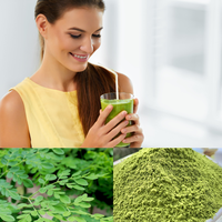 Polvo de Hoja de Moringa Orgánica 1kg Venta al por Mayor - Patil Foods India