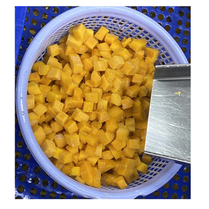 มะม่วงแช่แข็งพรีเมียมจากเวียดนามสำหรับขายส่งและจัดหาจำนวนมาก - Product Image 6