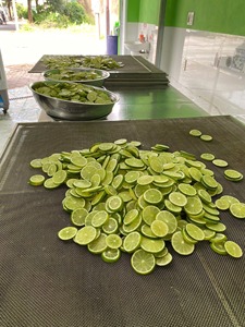 Best <b>Dried</b> <b>Lime</b> Slices Dehydrated Citrus for Tea Bulk OEM Vietnam Supplier Natural Seedless No Sugar No Preservatives ANGLE - Product Image 2
