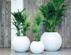 Pot de jardin élégant en fibre de verre FRP, grande taille, pour patio, pelouse, intérieur, extérieur, arrangement de plantes vertes, présentation - Product Image 3