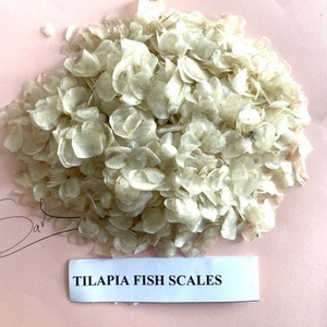 Écailles de Tilapia Séchées de Qualité Supérieure à Prix Abordable, Emballage en Vrac, Poids du Colis, Écailles de Tilapia Séchées - Product Image 2