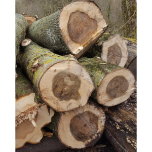 Bûches de bois tendres naturelles, plaquettes de bois, bois massif, idéales pour le revêtement mural, les meubles et les projets de design d'intérieur - Product Image 6