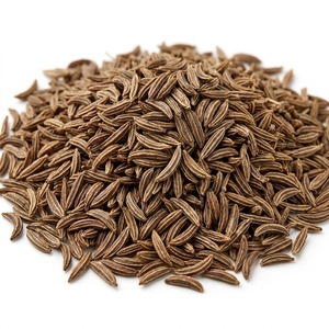 Kreuzkümmelsamen (Carum carvi) Getrocknete Ganze Aromatische Gewürzsamen im Großhandel - Product Image 2