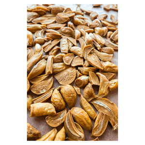 Ajos Secos de Alta Calidad, Bulbos de Ajo Secos al por Mayor, Suministro para Exportación al Mercado Global de Especias - Product Image 3