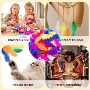 1600 Pezzi di Piume di Gallo Colorate da 3-5 Pollici, Forniture per Artigianato per Asili Nido, Progetti Fai-da-Te, Decorazioni per Matrimoni e Feste Familiari - Product Image 4