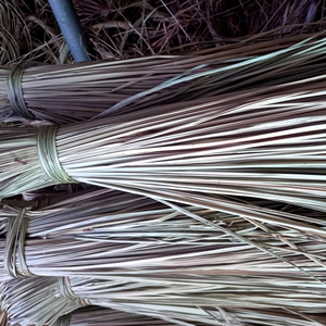 ผู้ผลิตหญ้าทะเลแห้ง วัสดุหญ้าทะเลย่อยสลายได้ตามธรรมชาติสำหรับงานฝีมือปุ๋ยหมักและผลิตภัณฑ์รักษ์โลก 25 ANGLE - Product Image 1