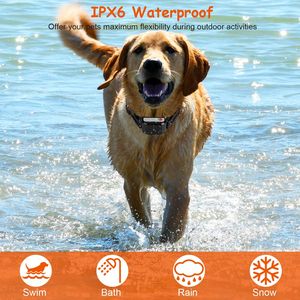 Collare di Addestramento Wireless per Cani con Portata di 300 Metri, Ricevitore Impermeabile IPX6, 0-9 Livelli di Suono, Vibrazione e Shock, Accessori per Addestramento Animali - Product Image 4