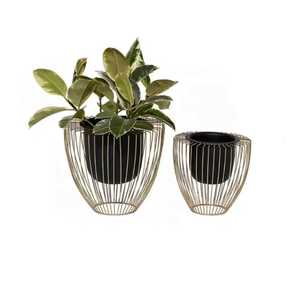 2 Piece Luxury Gold Metal <b>Plant</b> Stand Set Slender Hairpin Line <b>Frame</b> Tapered Base Cylindrical Flower Pot Indoor Floor Planters - Product Image 6