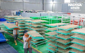 <b>Noodle</b> <b>Rice</b> in Bulk for Wholesale – OEM/ODM Service, Custom Packaging for Global Buyers <b>rice</b> <b>noodles</b> packet <b>rice</b> <b>noodle</b> - Product Image 4