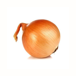 Oignons frais fournis en grandes quantités pour les acheteurs en gros avec une disponibilité constante - Product Image 1