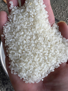 Arroz Japonica Blanco de Grano Corto, Partido, Seco, Personalización de Logotipo, Empaque para Venta al por Mayor, Fabricante Vietnamita, Sin OMG - Product Image 6