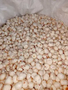 Noix de Phool Makhana (Euryale Ferox) sélectionnées à la main - Marque OJISHTHA - Origine Delhi - Durée de conservation de 24 mois - Prêtes à l'emploi - Product Image 2