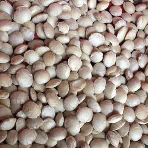 Aceite de Cacahuete de Alta Calidad – Aceite de Cacahuete 100% Puro, Refinado y Prensado en Frío, Precio Competitivo // Mr. Tom - Product Image 4