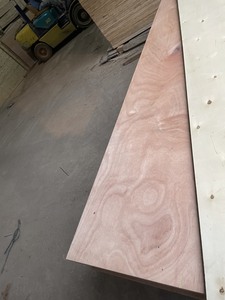 Vietnam Factory Wholesale 5-24mm Bintangor Plywood E0 E1 for Furniture CNC <b>Decoration</b> Interior Panels Export Grade Supplier - Product Image 2