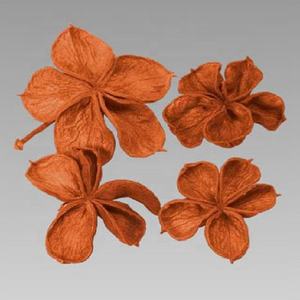 ดอกบัวธรรมชาติสู่บรรยากาศที่มีเสน่ห์และน่าดึงดูดกลีบดอกไม้แห้งเหมาะสำหรับพื้นที่ในเขตร้อนและธรรมชาติที่ใช้งาน - Product Image 1