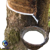 Le DRC du latex 60% du caoutchouc naturel a concentré la couleur blanche liquide en caoutchouc dans le baril pour l'adhésif