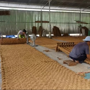 Premium Quality Coir Carpet <b>Rolls</b> for Paving Trail <b>Mat</b> Eco-Friendly Enduring Palm Tree <b>Mat</b> Vietnam Factory Camping Customized - Product Image 1