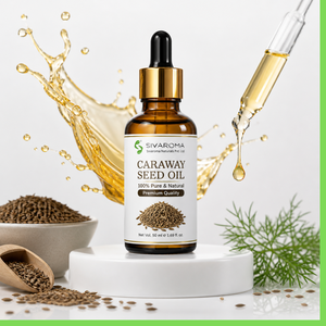 High Grade Caraway Seed Oil for Incense Candle Making Aromatherapy Blends and Luxury Fragrance Product Development - Product Image 1