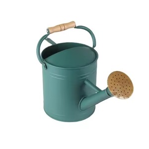 Arrosoir en métal vert sarcelle avec poignée et bec en bois pour le jardinage, articles de jardinage de haute qualité - Product Image 1