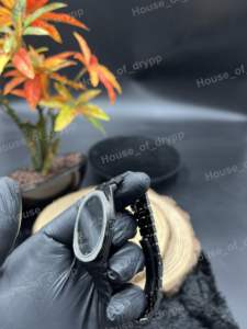 Montre de luxe avec cadran rond noir en diamant Moissanite VVS, acier inoxydable avec lunette, design minimaliste et fin, style unisexe - Product Image 3