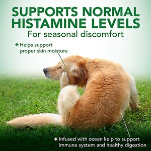 Friandises à mâcher bio OEM/ODM pour chiens, soutien allergique et immunitaire, avec oméga-3, citrouille et enzymes digestives pour soulager les démangeaisons et favoriser une peau et un pelage sains - Product Image 3