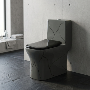 WC monobloc Vistaar Designer à chasse d'eau siphonique en céramique, à double chasse, à poser au sol, pour salle de bain et lavabo de luxe modernes - Product Image 2
