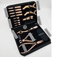 Kit d'outils pour extensions de cheveux LUMINEX Cambodian Hair Soft, couleur or, portable, avec pince à perles, coupe-limiteur, rasoir effilant, pinces, peigne