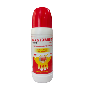Suplemento Nutricional para Ganado Mastobest de Diseño Único para la Salud de Animales Lecheros y Soporte Nutricional Diario en Venta - Product Image 1