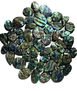 Cuentas de Concha de Abulón Natural de Alta Calidad, Tamaños Variados, Hermoso Color Arcoíris Natural, Púrpura, Verde, Color Pavo Real, para la Fabricación de Joyas - Product Image 1