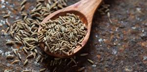 Graines de cumin biologiques - Ashutosh Enterprises, durée de conservation de 24 mois, prêtes à l'emploi, vente en gros en provenance d'Inde - Product Image 3