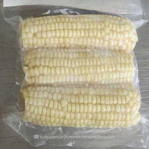 ข้าวโพดหวานต้มสุกทั้งลูกแช่แข็ง IQF คุณภาพพรีเมียมจากเวียดนาม - Product Image 5