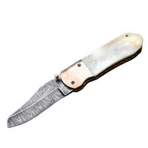 Cuchillo Plegable de Acero Inoxidable con Hoja Recta de 15 cm, Mango de Madera y Perilla de Pulgar, Herramienta para Exteriores OEM - Product Image 2