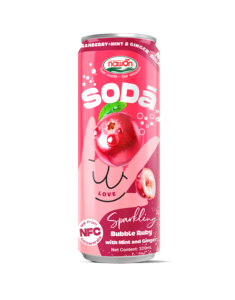 Entreprises de fabrication de boissons Vietnam Healthy Snakling Juice 320ML Can NAWON Brands Fizzy Drink OEM Private Label Free Sample - Product Image 3