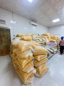 Snacks chauds et sains : Chips de bananes séchées sucrées et croustillantes, provenant du fournisseur vietnamien, à prix avantageux - Product Image 6