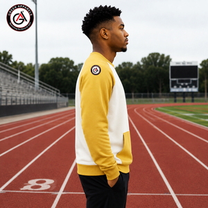 Alpha en gros |   Sweat-shirt en polaire uni pour homme de la fraternité Phi Embroidery, hiver |   Col rond personnalisé brodé sur le devant, 100% coton - Product Image 3