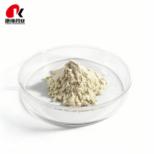 50%-60% 하이드록시시트르산 HCA 천연 가르시니아 캄보지아 추출 분말 - Product Image 1