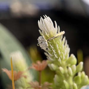 Women's 1.00 Carat Oval Cut Lab Grown Diamond Twist Ring 14k Yellow Gold Rhodium Plated Luxury IGI Certified E Colour VVS2 - Product Image 1