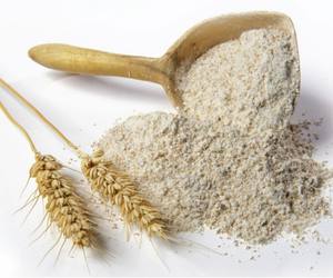 Poudre de son de blé et de légumes pour l'alimentation des poissons et des bovins |   15-17% de protéines, 11% de fibres maximum |   Sacs de 25 kg ou sacs jumbo |   Prix d'usine - Product Image 3