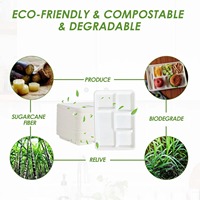 Assiettes jetables haut de gamme en bagasse – Vente en gros, écologiques, résistantes à la rouille, durables – Vaisselle pour restaurants, hôtels, cantines